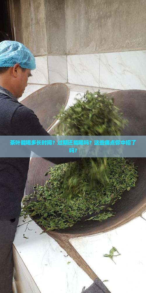 茶叶能喝多长时间