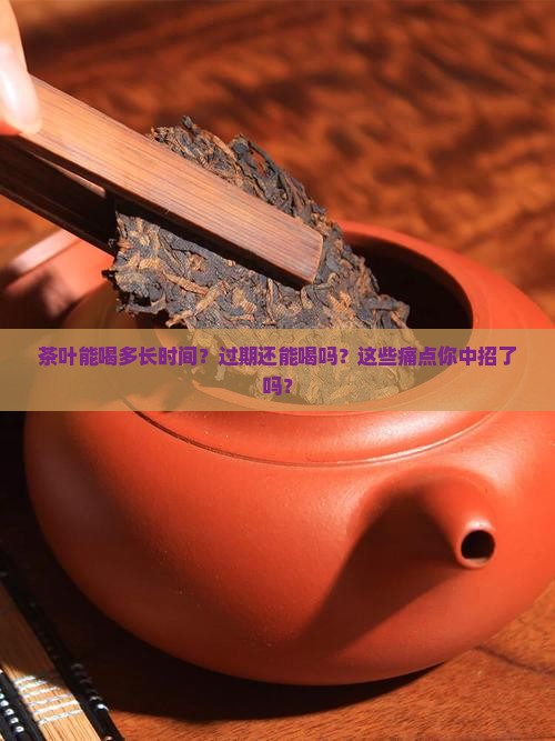 茶叶能喝多长时间