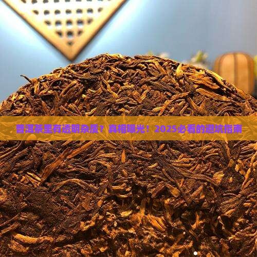 普洱茶透明杂质