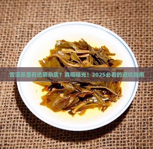 普洱茶透明杂质