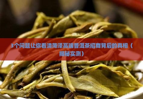 菏泽高端普洱茶招商