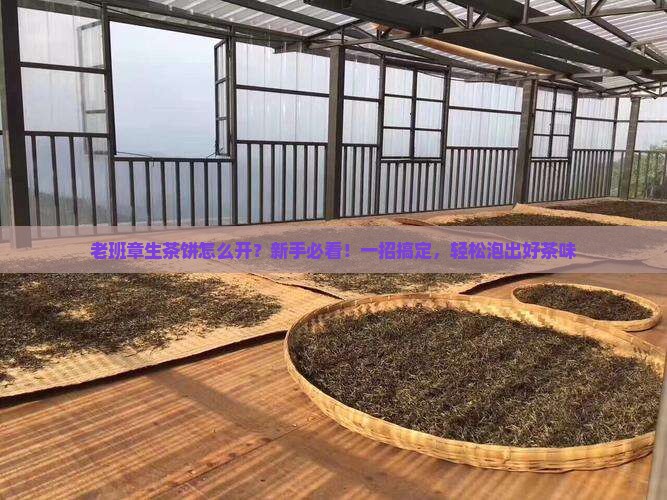老班章生茶饼怎么开
