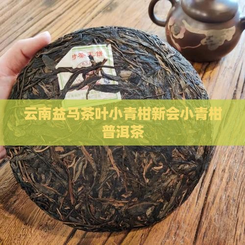 云南益马茶叶小青柑