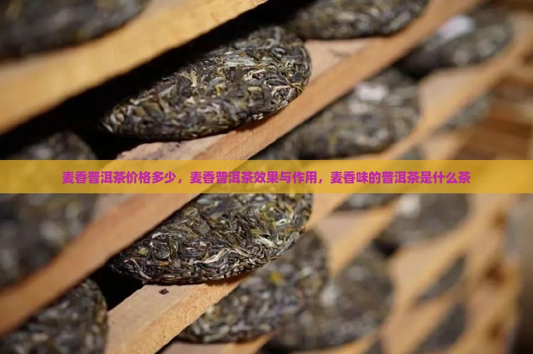 麦香普洱茶价格多少