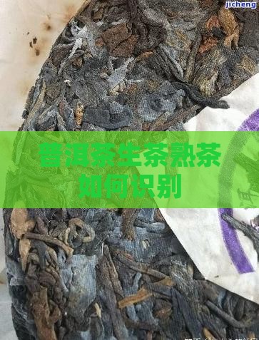 普洱茶生茶熟茶如何识别