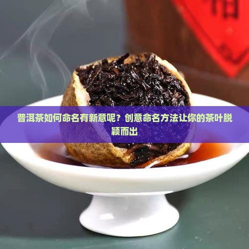 普洱茶如何命名有新意呢