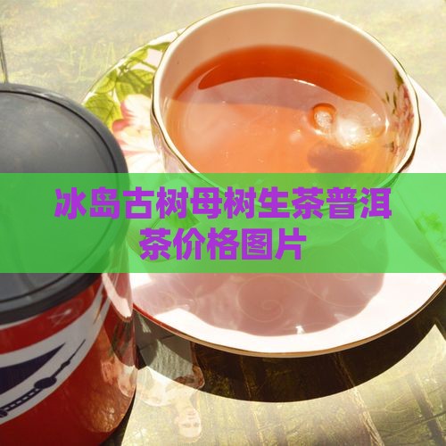 2013年冰岛母树生茶