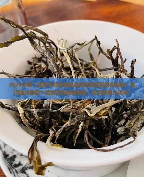 紫陶和普洱茶相遇