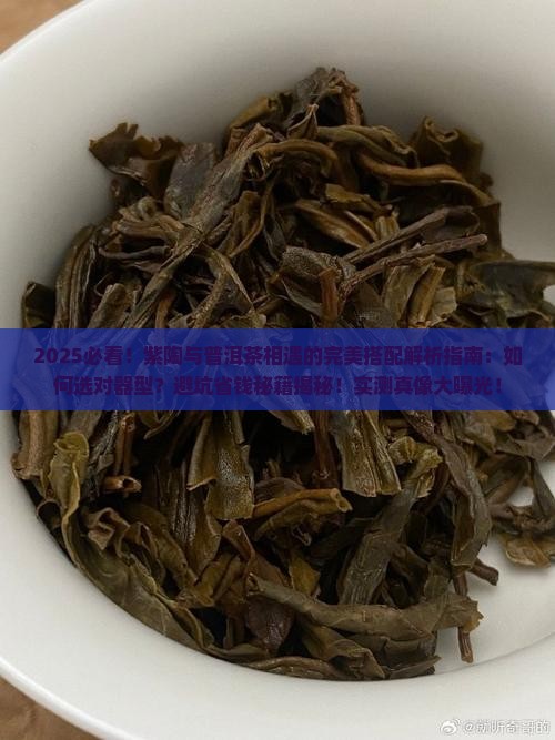 紫陶和普洱茶相遇