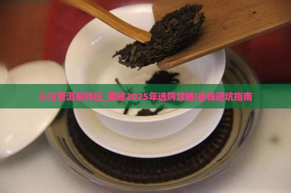 小沱普洱茶特征 小沱普洱茶特征