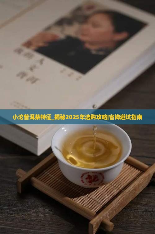 小沱普洱茶特征 小沱普洱茶特征