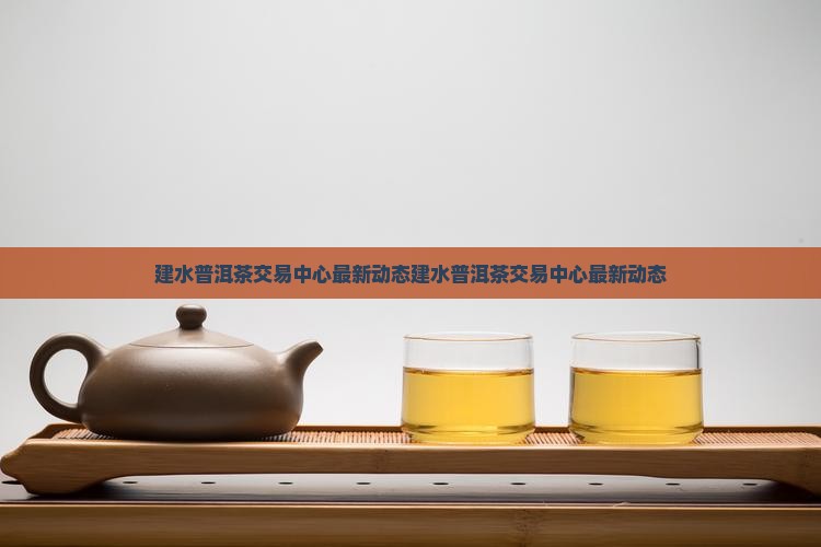 建水普洱茶交易中心