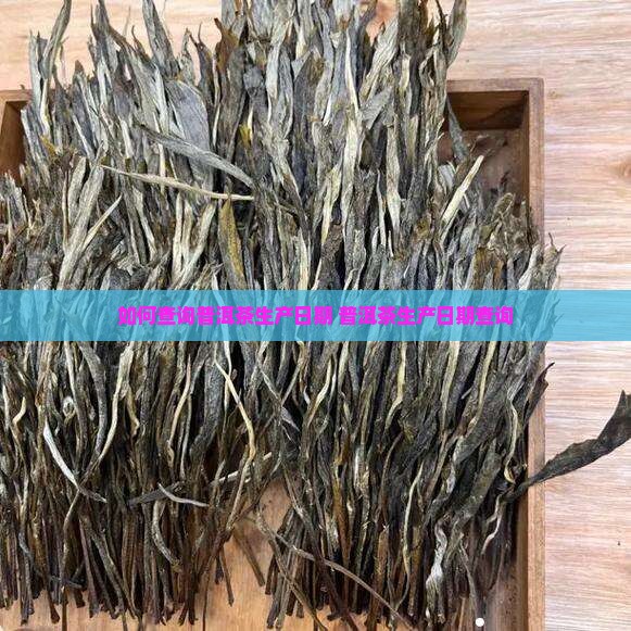 普洱茶益知味生产日期查询
