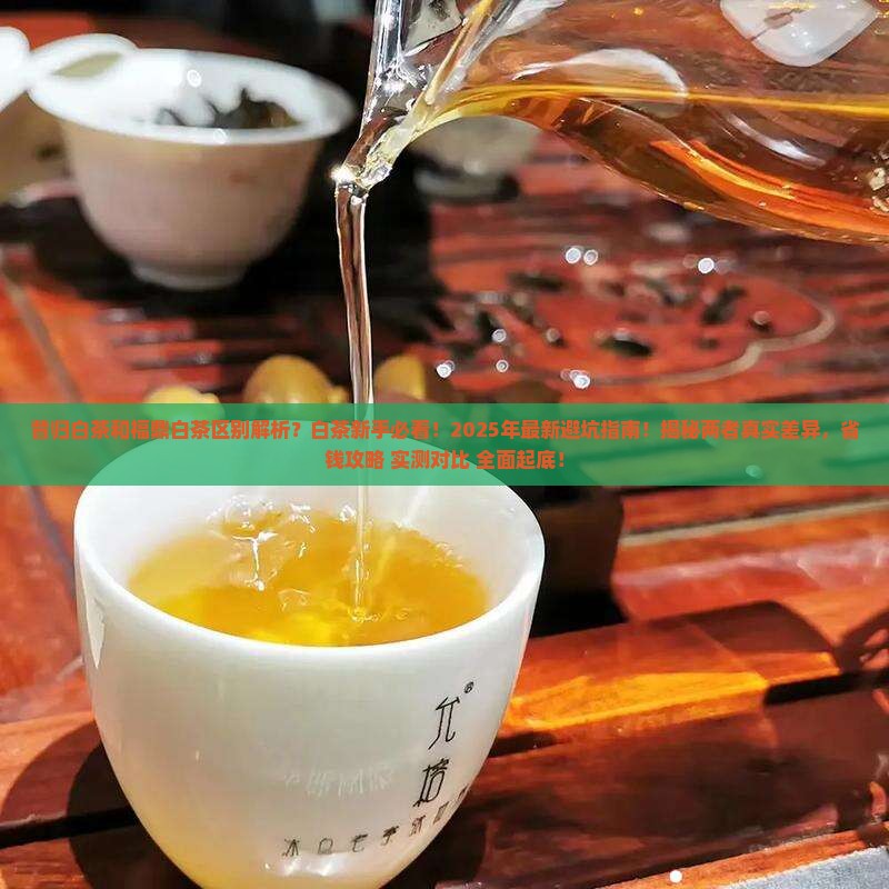 昔归白茶和福鼎白茶区别