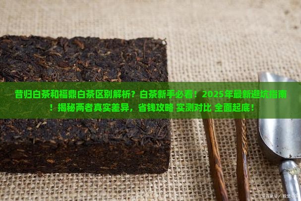 昔归白茶和福鼎白茶区别