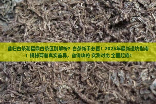 昔归白茶和福鼎白茶区别