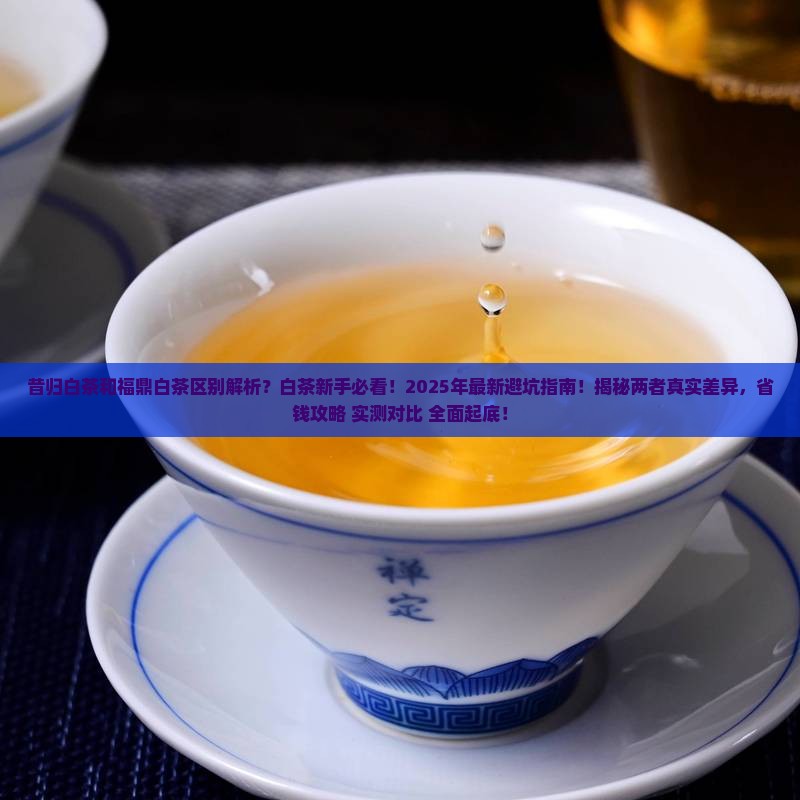 昔归白茶和福鼎白茶区别