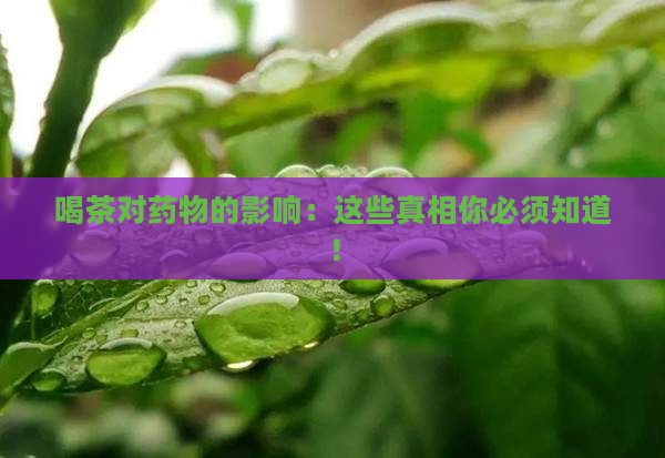 喝茶对药物的影响