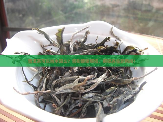 普洱茶可以当水喝么