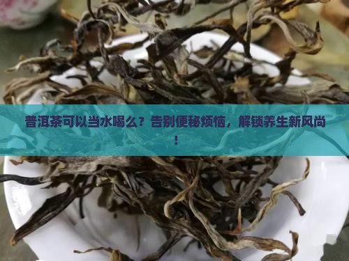 普洱茶可以当水喝么
