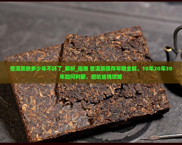 普洱茶放多少年不坏了