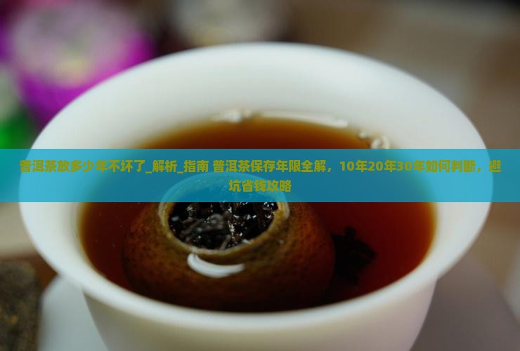 普洱茶放多少年不坏了