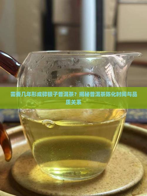 需要几年形成碎银子普洱茶