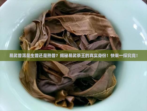 易武普洱是生普还是熟普
