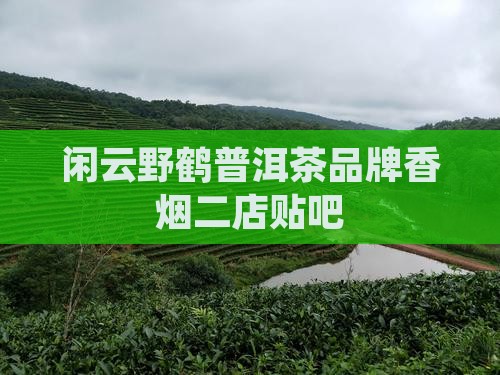 闲云野鹤普洱茶