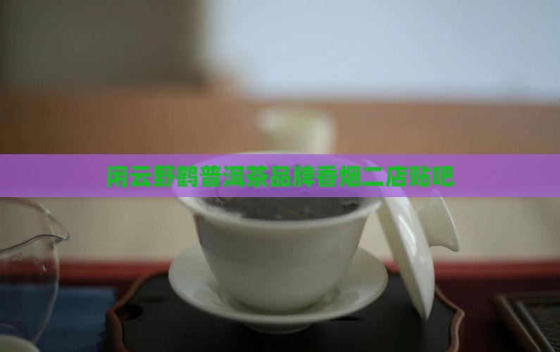 闲云野鹤普洱茶