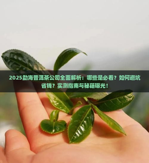 勐海有哪些普洱茶公司 勐海有哪些普洱茶公司