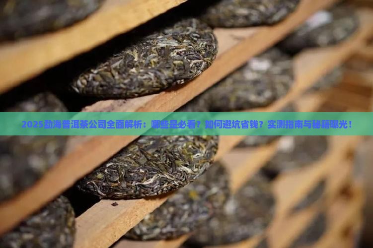 勐海有哪些普洱茶公司 勐海有哪些普洱茶公司