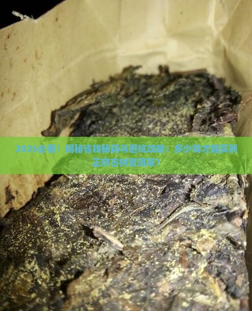 多少钱可以买到古树普洱茶 多少钱可以买到古树普洱茶