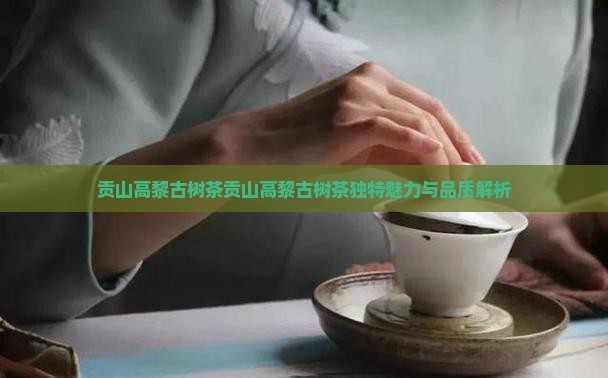 贡山高黎古树茶