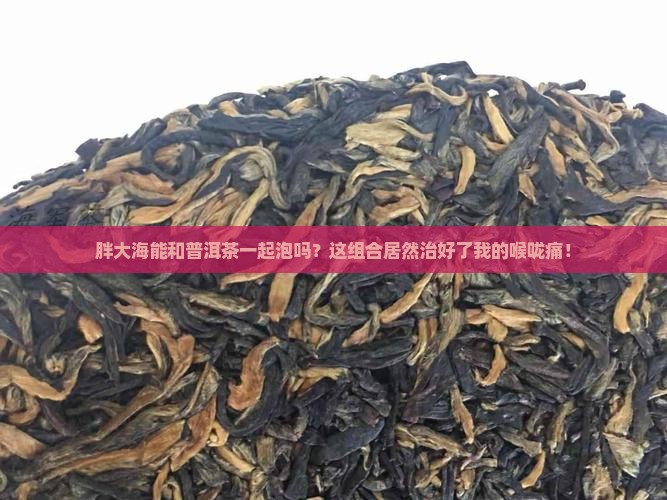 胖大海能和普洱茶一起泡吗