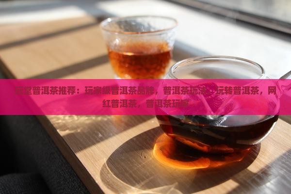 玩堂普洱茶推荐