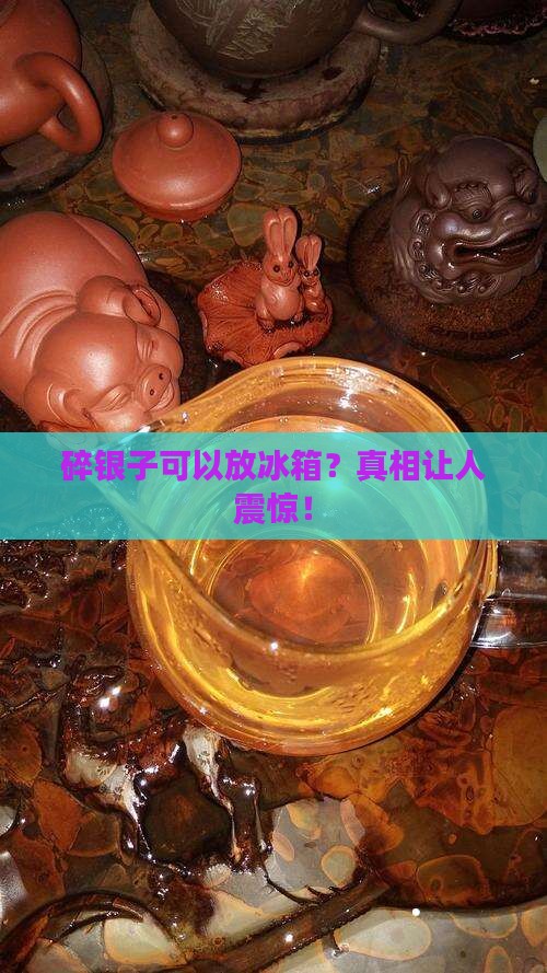 碎银子可以放冰箱