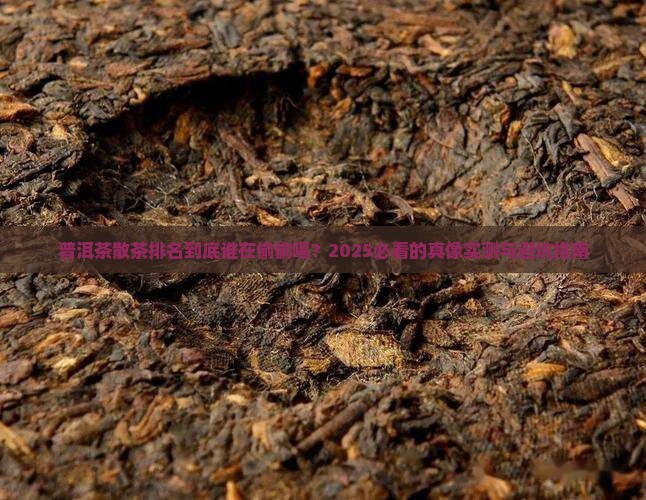 普洱茶散茶排名