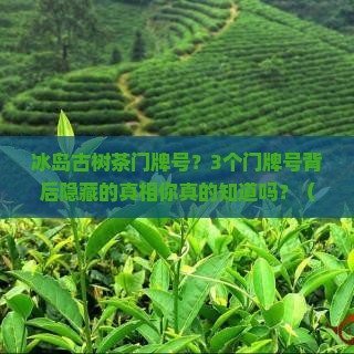 冰岛古树茶门牌号