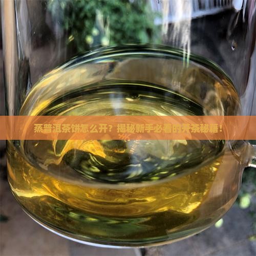 蒸普洱茶饼怎么开