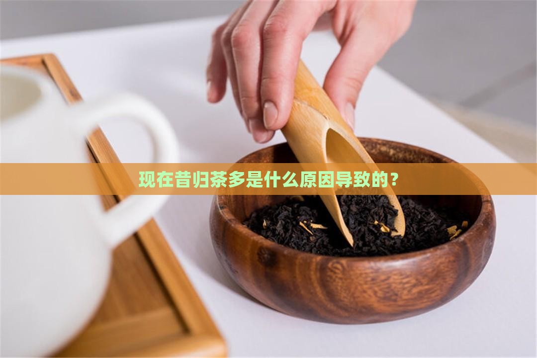 现在昔归茶多是什么原因