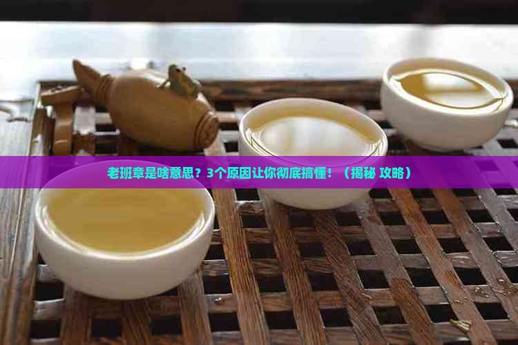 老班章是啥意思是什么