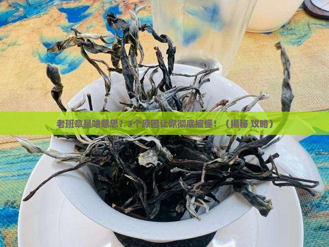 老班章是啥意思是什么
