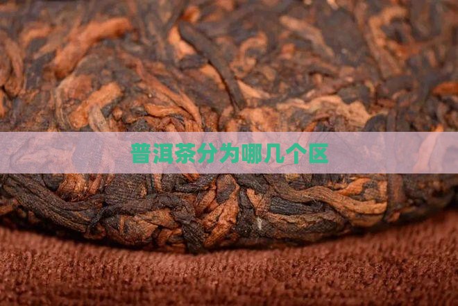 普洱茶分为哪几个区