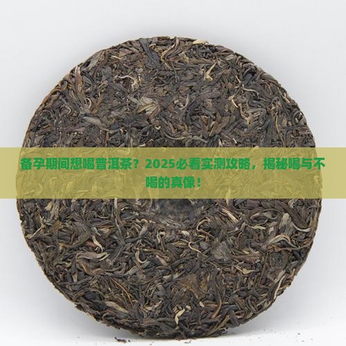 备孕能不能喝普洱茶
