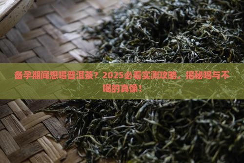 备孕能不能喝普洱茶