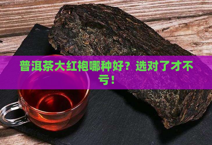 普洱茶大红袍哪种好