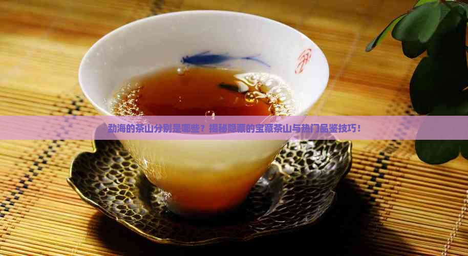 勐海的茶山分别是