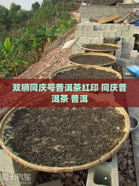 双狮同庆号普洱茶红印
