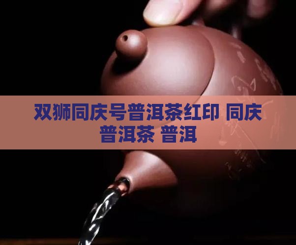 双狮同庆号普洱茶红印